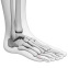 Biomécanique du pied+ Les orthèses plantaires et les principales pathologies du pied pouvant être appareillés
