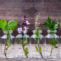 Essential oils around the foot.