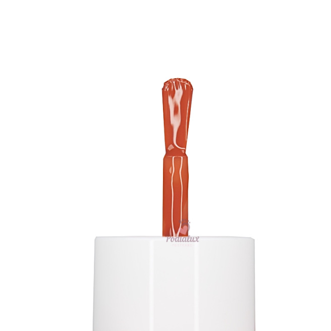 Siliciumvernis. ZELFDE. Diverse Kleuren. Fles van 10 ml.