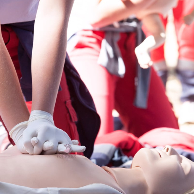 Formation "Premiers Secours"