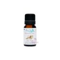 Essentiële olie Tea-Tree 10ml Eve Taylor