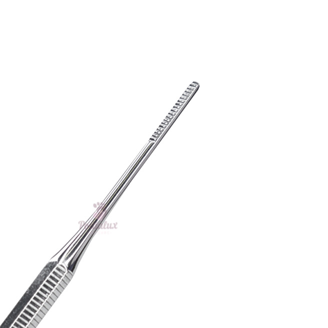 Excavateur cuillère / Lime de coin 14 cm Acier inoxydable Poditec Excavateur cuillère / Lime de coin 14 cm Acier inoxydable Poditec