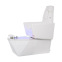 Fauteuil de pédicure et spa Cassiopée 2 moteurs Blanc