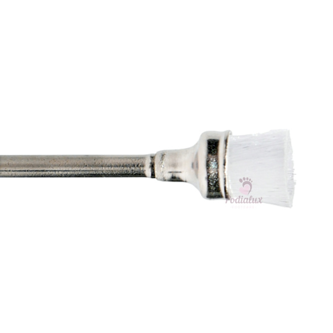 Fraise brosse pour nettoyage des fraises